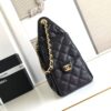 CN 25 Small Handbag Black For Women AS5293-B20304-94305