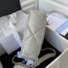 CN 19 Handbag 26cm Grey For Women AS1160
