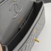 CN Classic Handbag Grey Gold Hardware For Women A01112