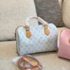 Modern Style Trendy LV Handbag L1547