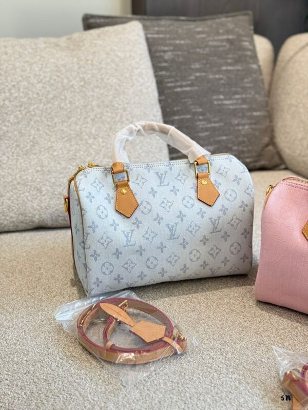 Modern Style Trendy LV Handbag L1547