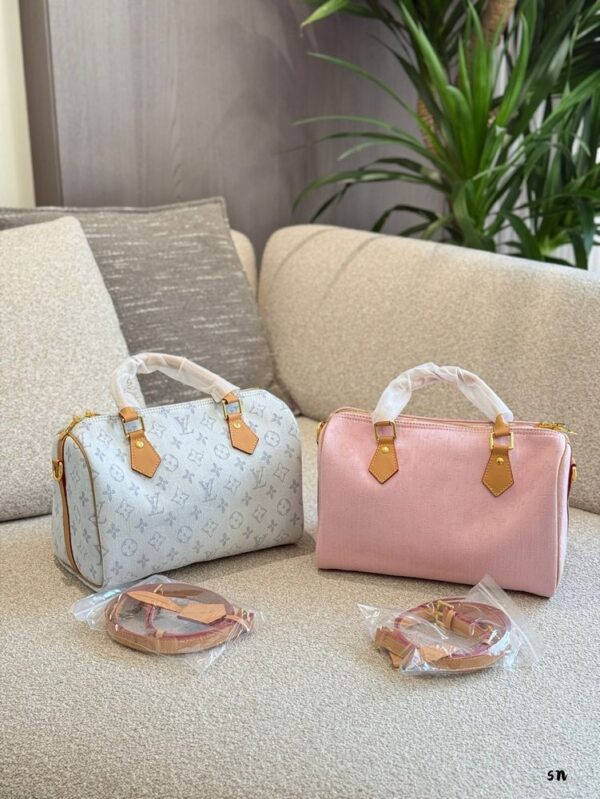 Modern Style Trendy LV Handbag L1547