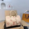 Modern Style Trendy LV Handbag L1420-4