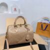 Modern Style Trendy LV Handbag L1420-4