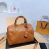 Modern Style Trendy LV Handbag L1420-4