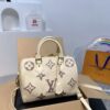 Modern Style Trendy LV Handbag L1420-3