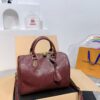 Modern Style Trendy LV Handbag L1420-2