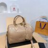 Modern Style Trendy LV Handbag L1420-2