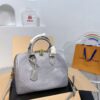 Modern Style Trendy LV Handbag L1420-2