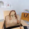 Modern Style Trendy LV Handbag L1420-2