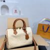 Modern Style Trendy LV Handbag L1420-1