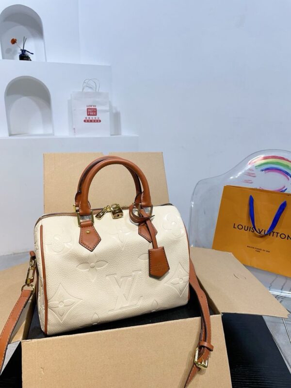 Modern Style Trendy LV Handbag L1420-1