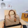 Modern Style Trendy LV Handbag L1420-1