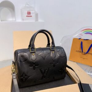 Modern Style Trendy LV Handbag L1420-1