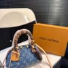 Modern Style Trendy LV Handbag L948