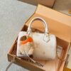 Modern Style Trendy LV Handbag L1861