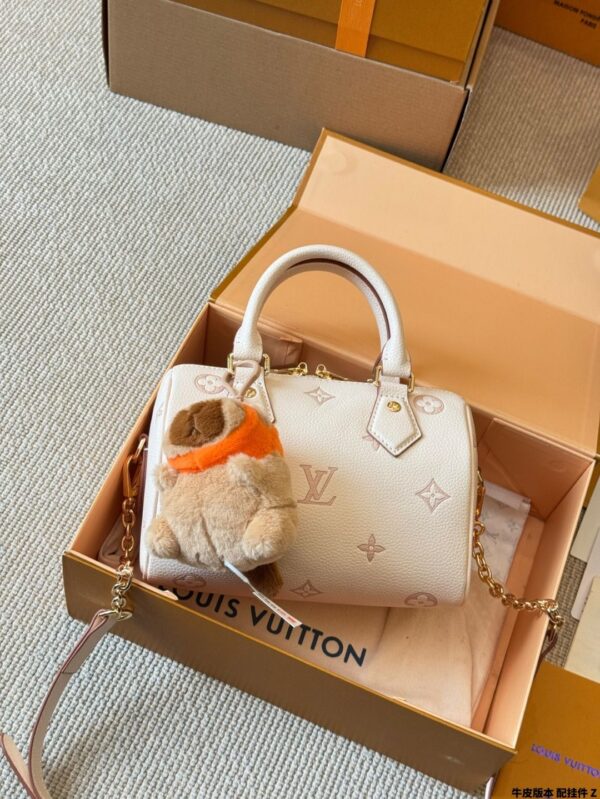 Modern Style Trendy LV Handbag L1861