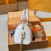 Modern Style Trendy LV Handbag L1861