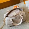 Modern Style Trendy LV Handbag L1861