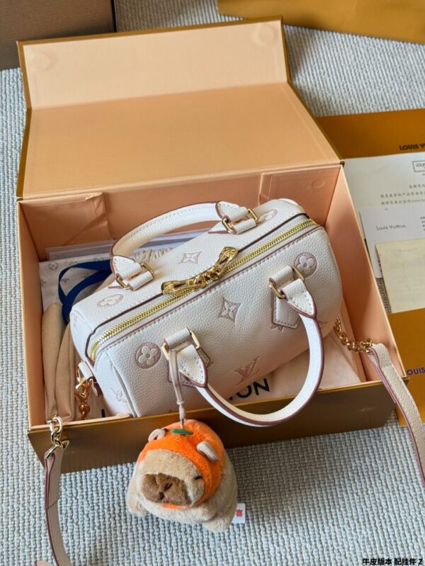 Modern Style Trendy LV Handbag L1861