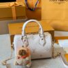 Modern Style Trendy LV Handbag L1861