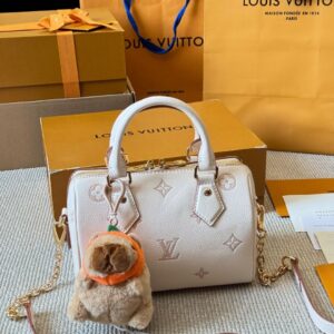 Modern Style Trendy LV Handbag L1861