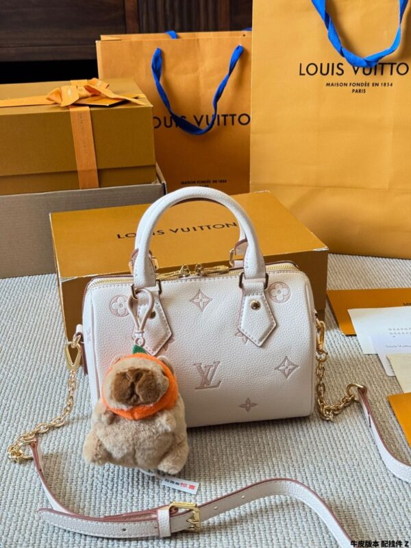 Modern Style Trendy LV Handbag L1861