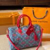 Modern Style Trendy LV Handbag L1752