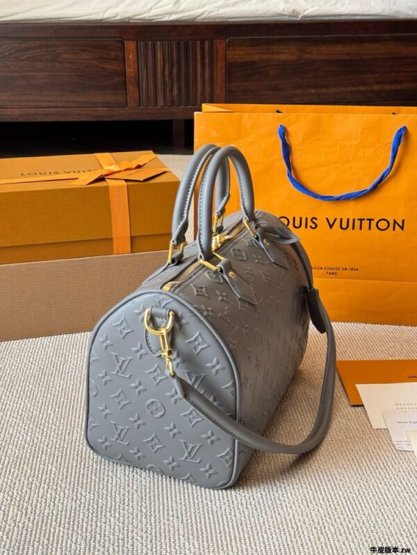 Modern Style Trendy LV Handbag L1751
