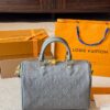 Modern Style Trendy LV Handbag L1751