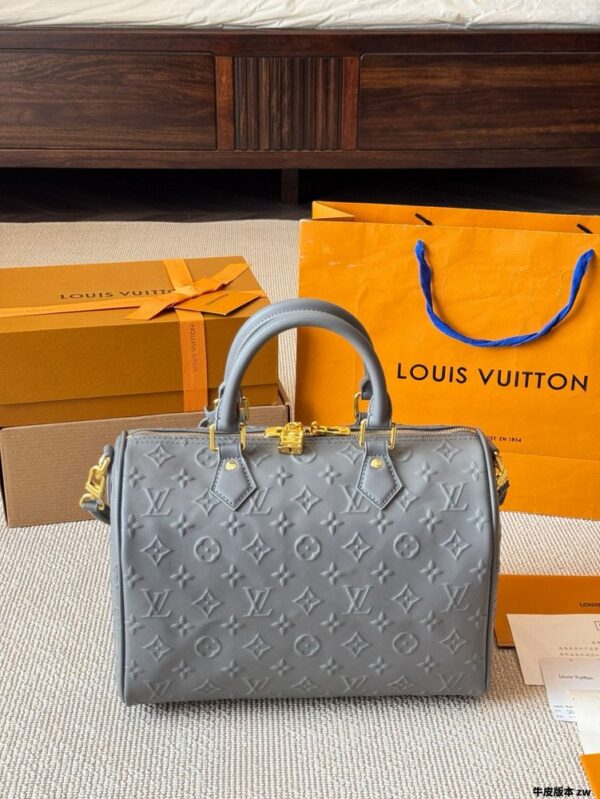 Modern Style Trendy LV Handbag L1751