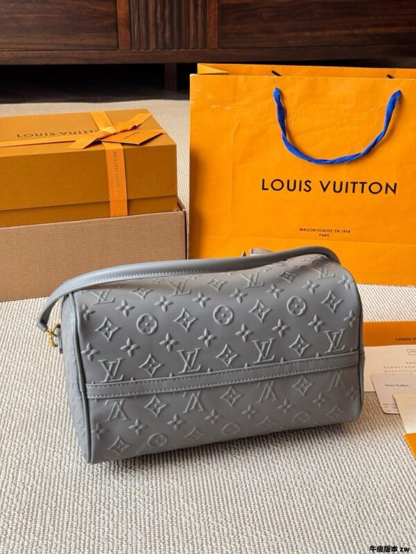 Modern Style Trendy LV Handbag L1751