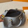 Modern Style Trendy LV Handbag L1751