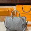 Modern Style Trendy LV Handbag L1751