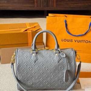 Modern Style Trendy LV Handbag L1751