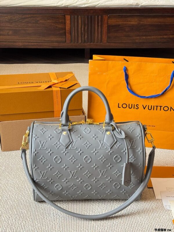 Modern Style Trendy LV Handbag L1751
