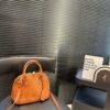Modern Style Trendy LV Handbag L2109.2