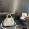 Modern Style Trendy LV Handbag L2109.1