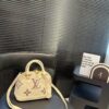 Modern Style Trendy LV Handbag L2109.1