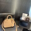 Modern Style Trendy LV Handbag L2109