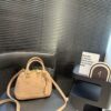 Modern Style Trendy LV Handbag L2109