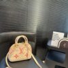 Modern Style Trendy LV Handbag L2109