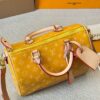 Modern Style Trendy LV Handbag L2090