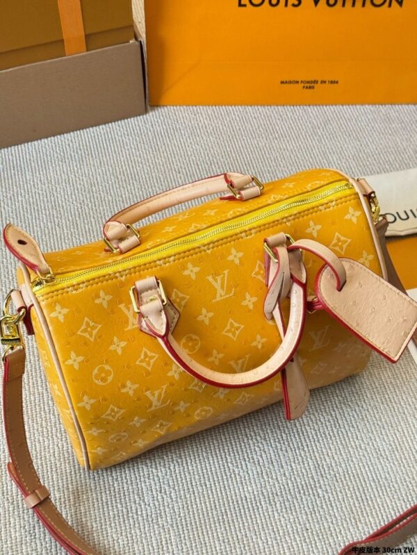 Modern Style Trendy LV Handbag L2090