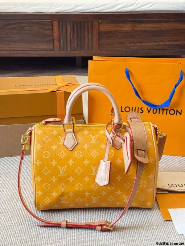 Modern Style Trendy LV Handbag L2090