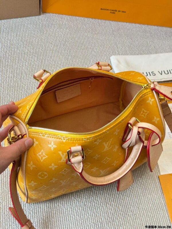 Modern Style Trendy LV Handbag L2090