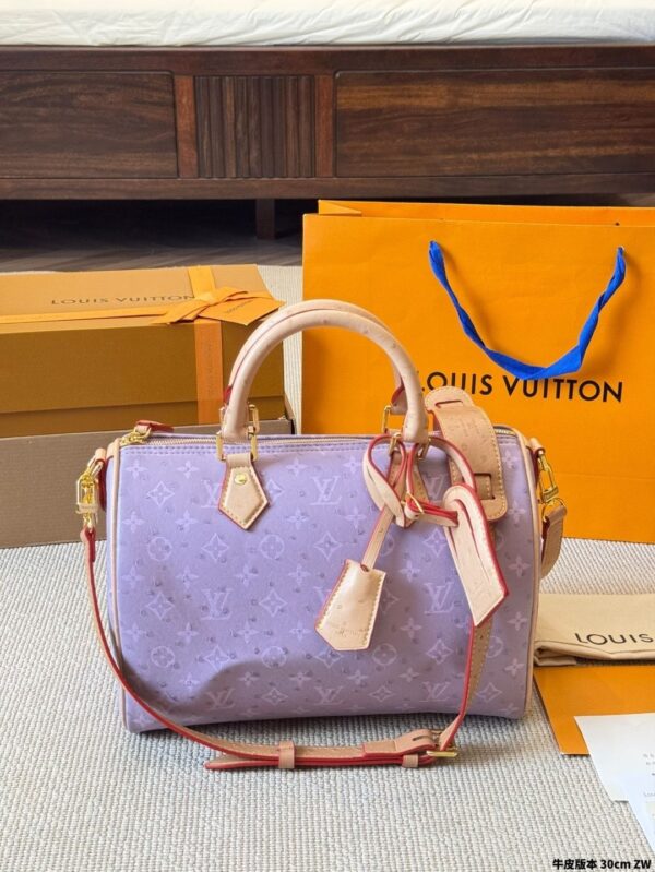 Modern Style Trendy LV Handbag L2090