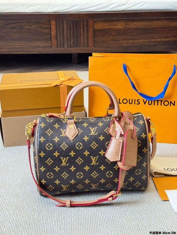 Modern Style Trendy LV Handbag L2090