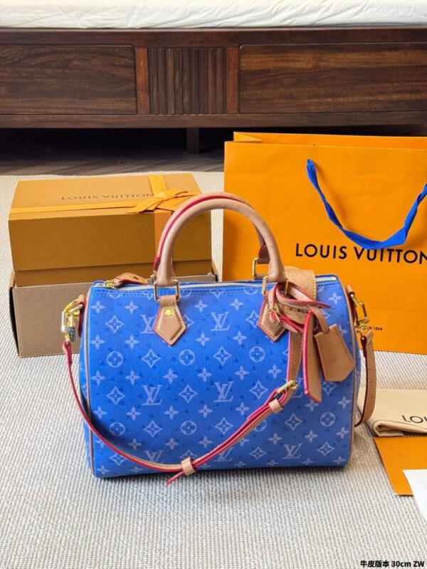 Modern Style Trendy LV Handbag L2090