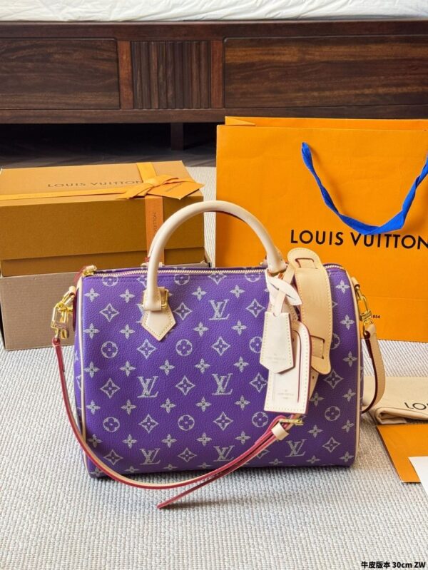 Modern Style Trendy LV Handbag L2090